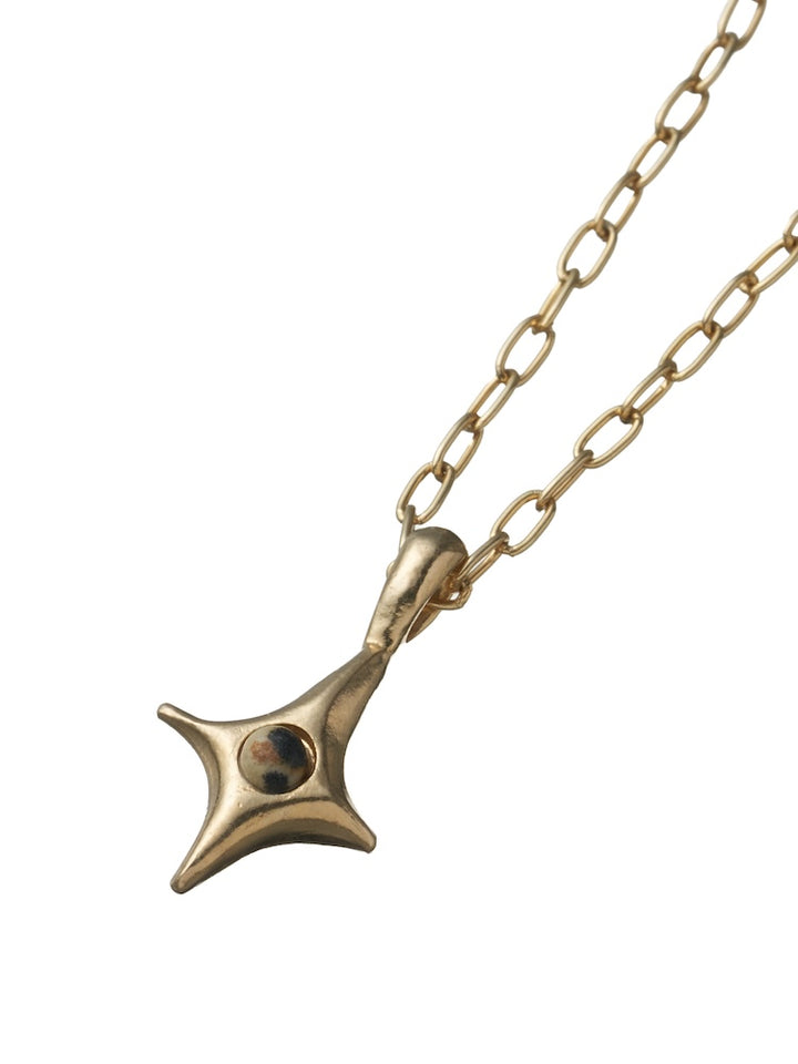 カラー:Gold × Dalmatian (Mix)