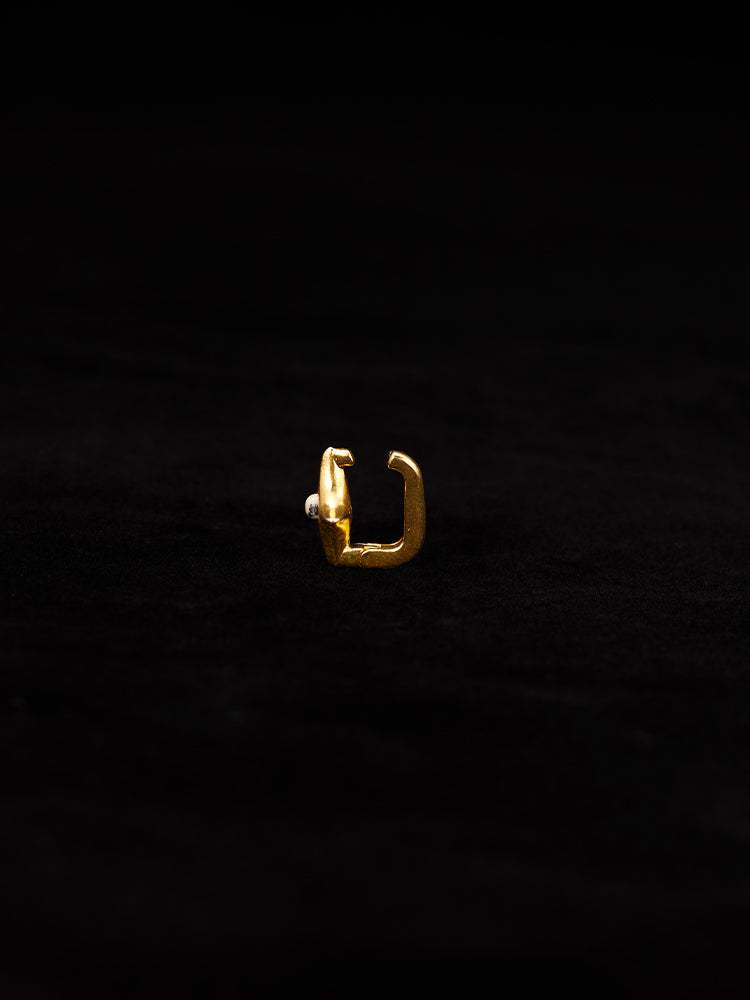 カラー:Gold × Dalmatian (Mix)