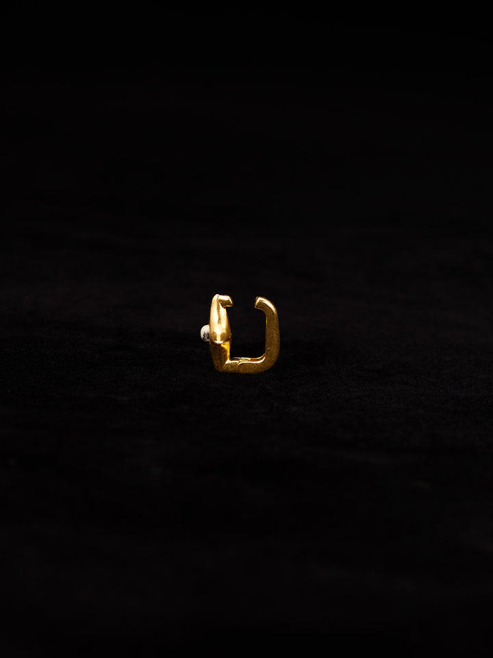 カラー:Gold × Dalmatian (Mix)