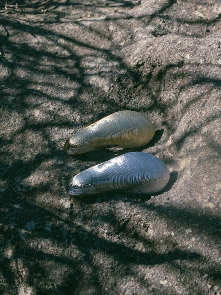 SYKIA×MAO 3way Shell Purse / Barrette