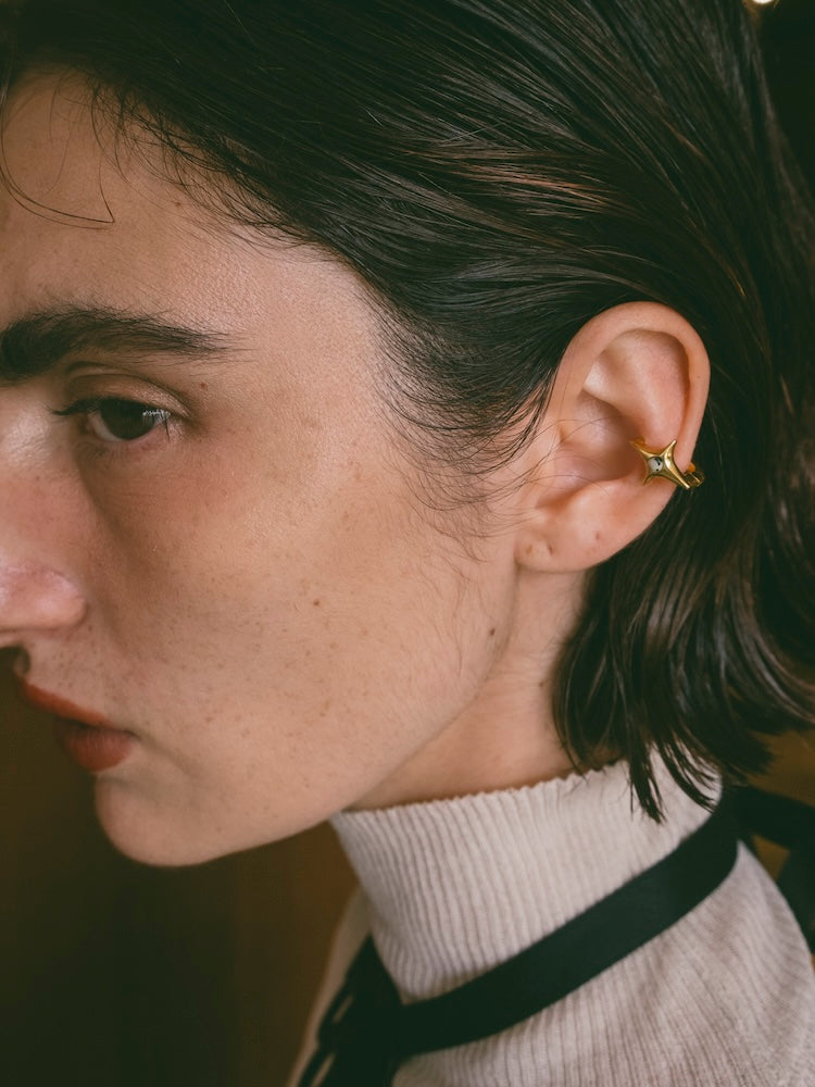 カラー:Gold × Dalmatian (Mix)