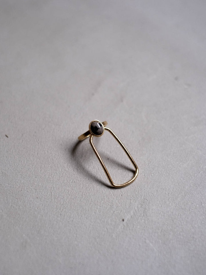 カラー:Gold × Dalmatian (Mix)