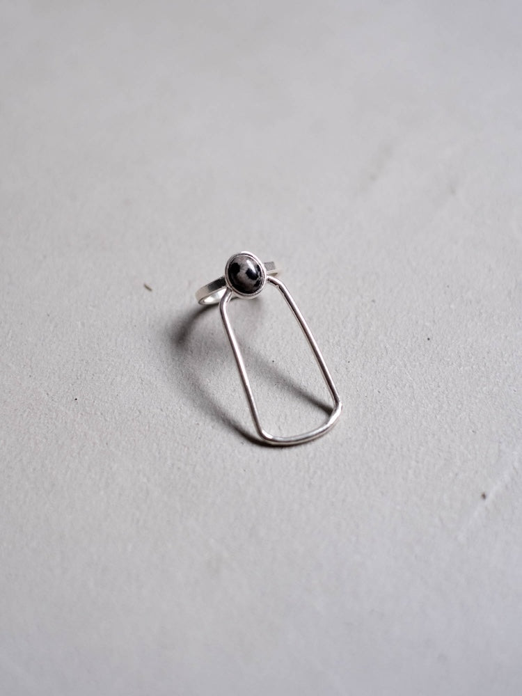 カラー:Silver × Dalmatian (Mix)