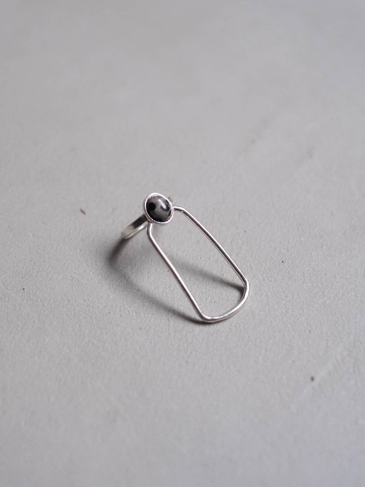 カラー:Silver × Dalmatian (Mix)