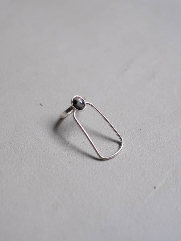 カラー:Silver × Dalmatian (Mix)