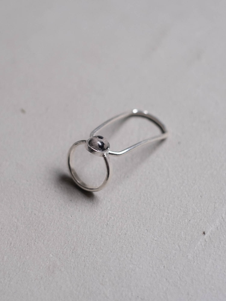 カラー:Silver × Dalmatian (Mix)