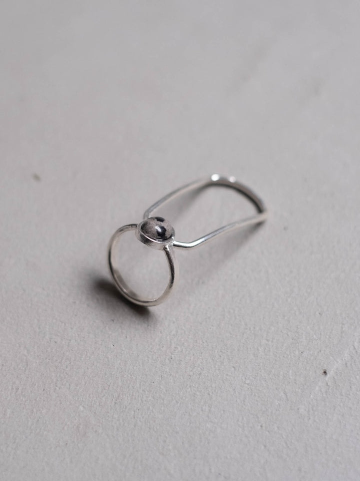 カラー:Silver × Dalmatian (Mix)