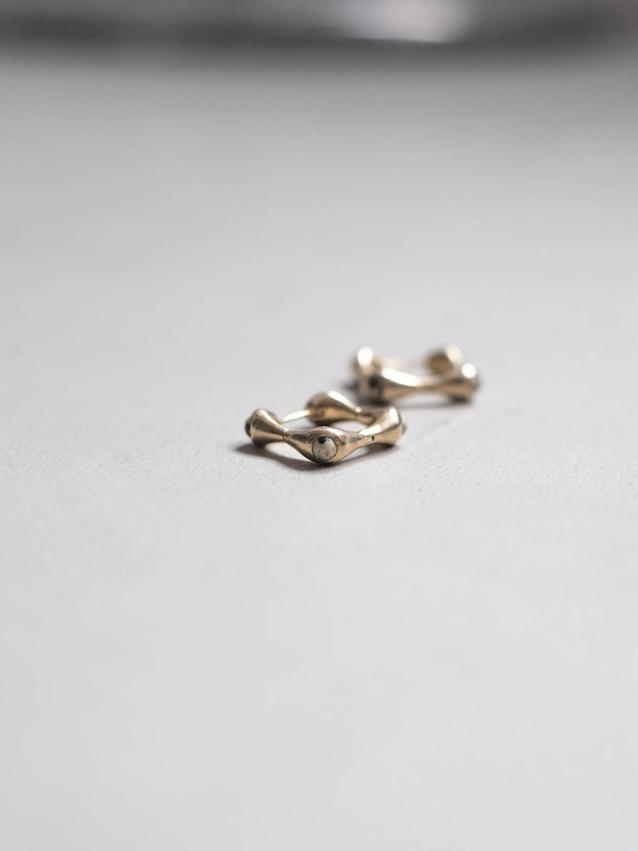 カラー:Gold × Dalmatian (Mix)