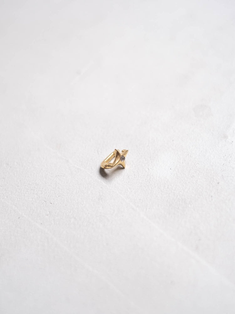 カラー:Gold × Labradorite (Gray)