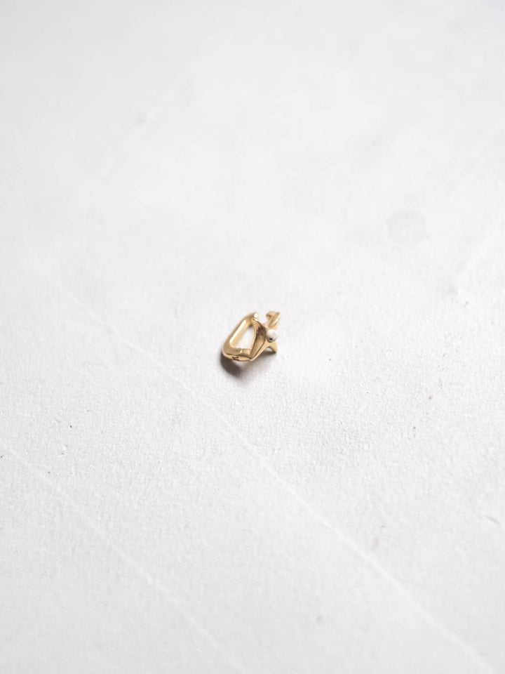 カラー:Gold × Dalmatian (Mix)