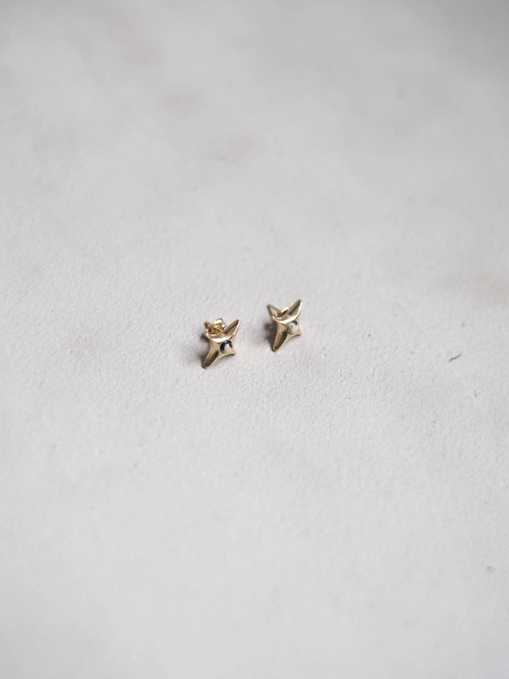 カラー:Gold × Dalmatian (Mix)