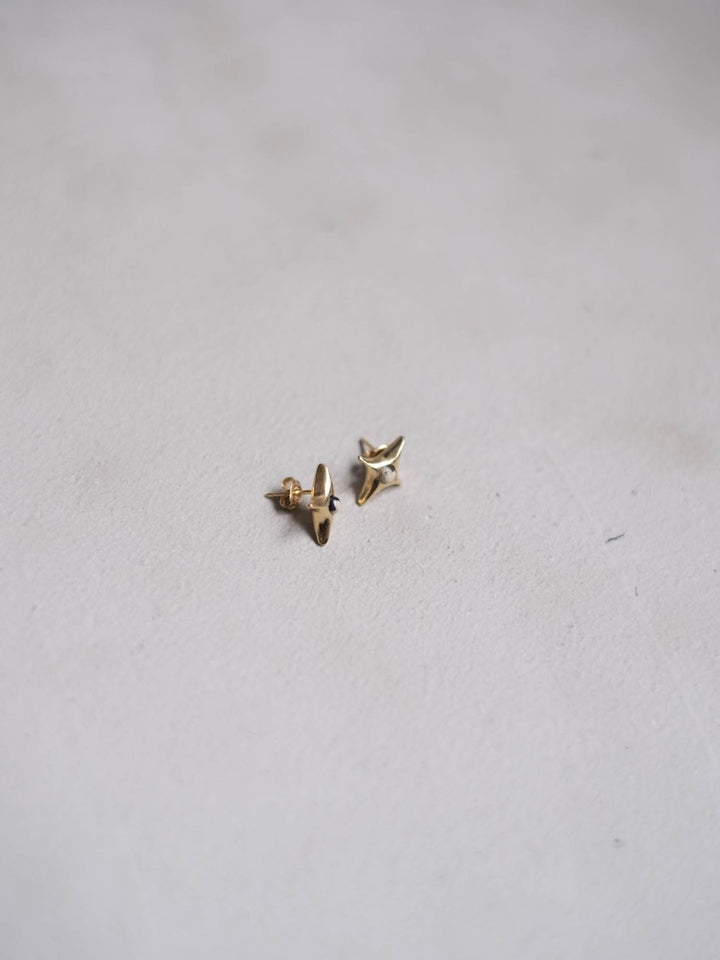 カラー:Gold × Dalmatian (Mix)