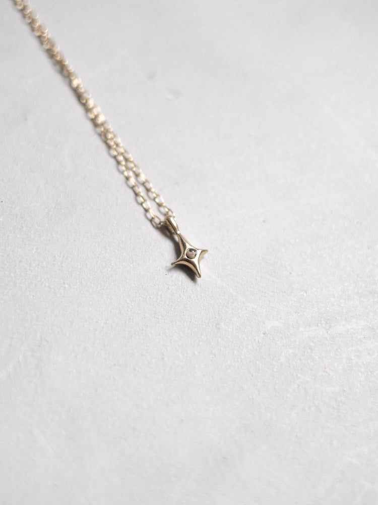 カラー:Gold × Dalmatian (Mix)