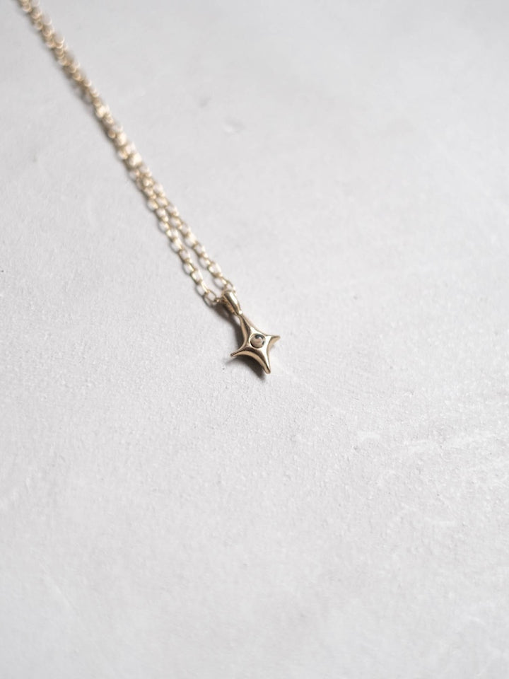 カラー:Gold × Dalmatian (Mix)