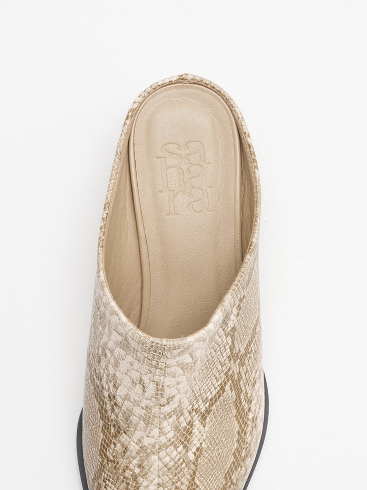 カラー：Python / サイズ：S, M, L