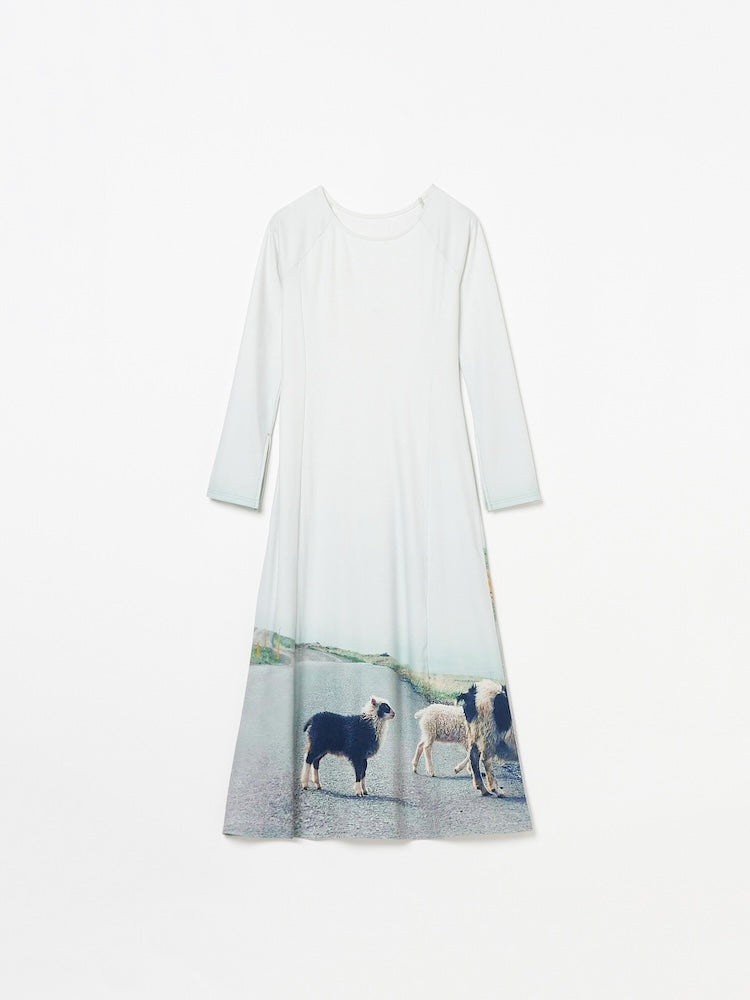 【10月24日(土) 12:00発売開始】Rib Landscape Art Dress