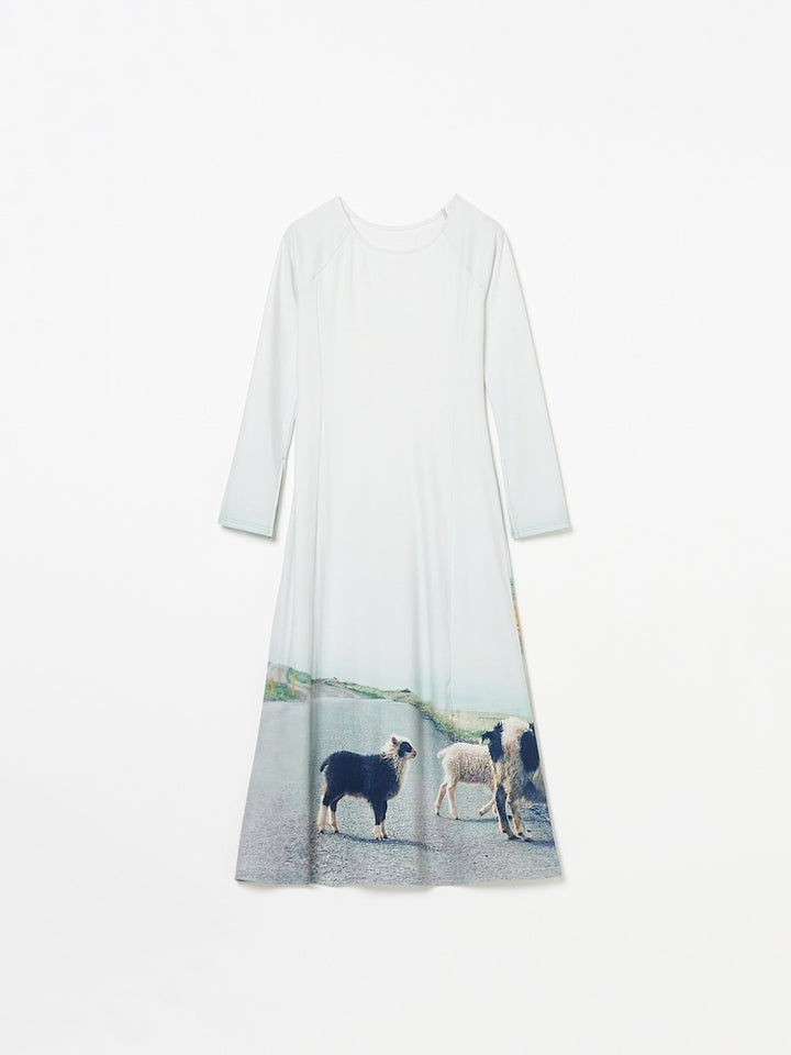 【10月24日(土) 12:00発売開始】Rib Landscape Art Dress