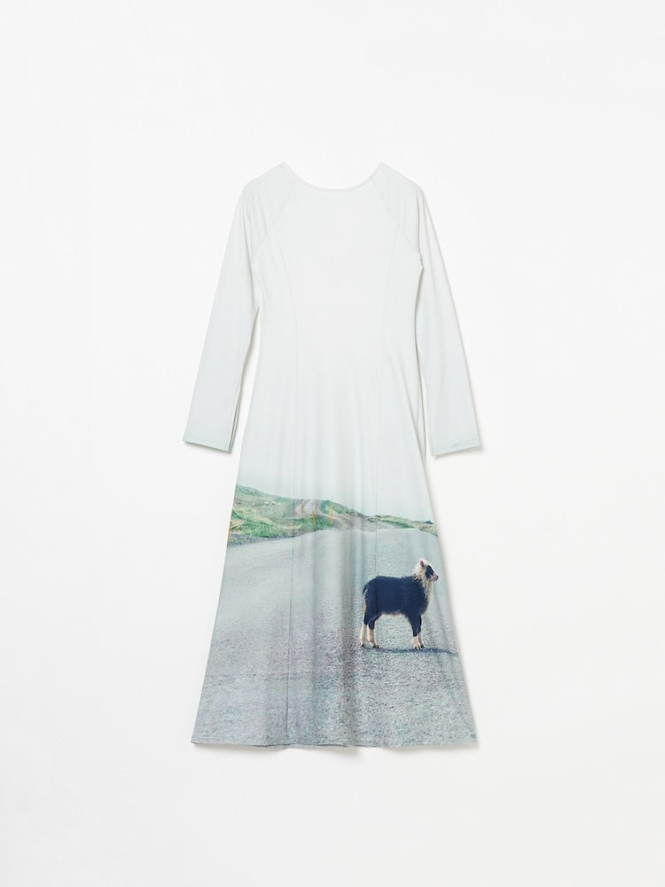 【10月24日(土) 12:00発売開始】Rib Landscape Art Dress