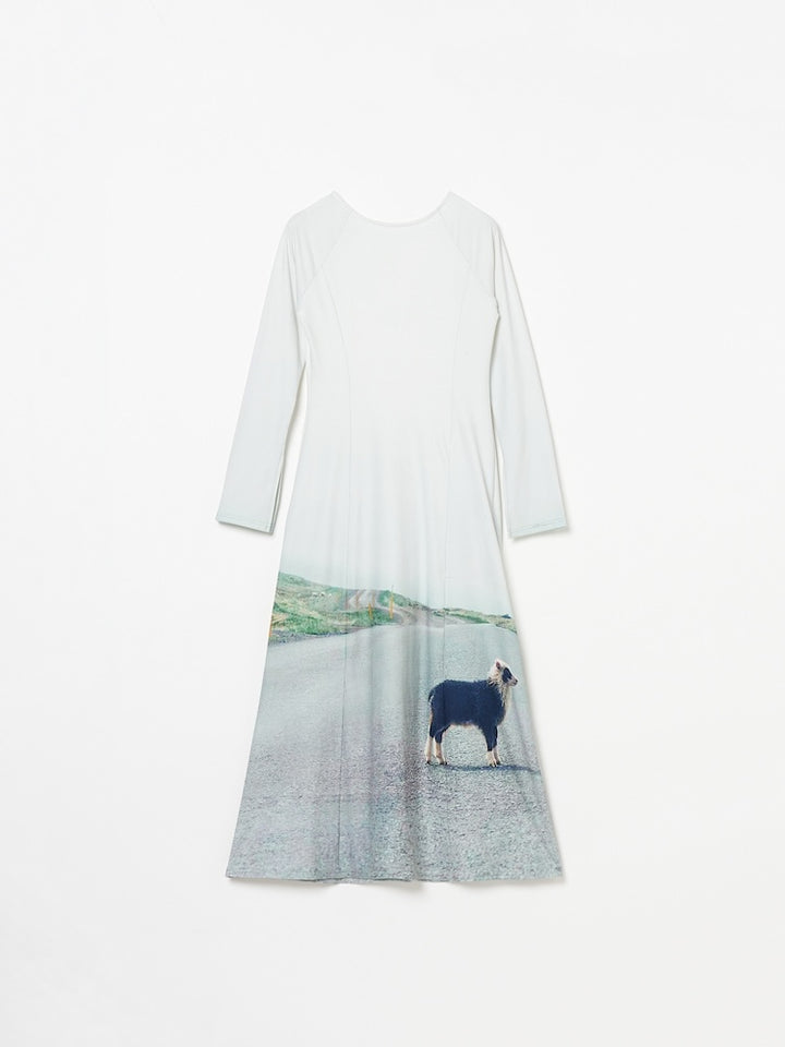 【10月24日(土) 12:00発売開始】Rib Landscape Art Dress