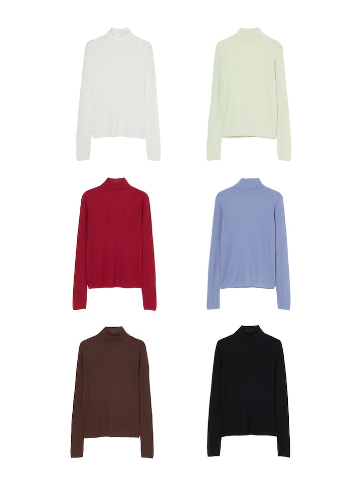 Sheer Knit Turtle Top
