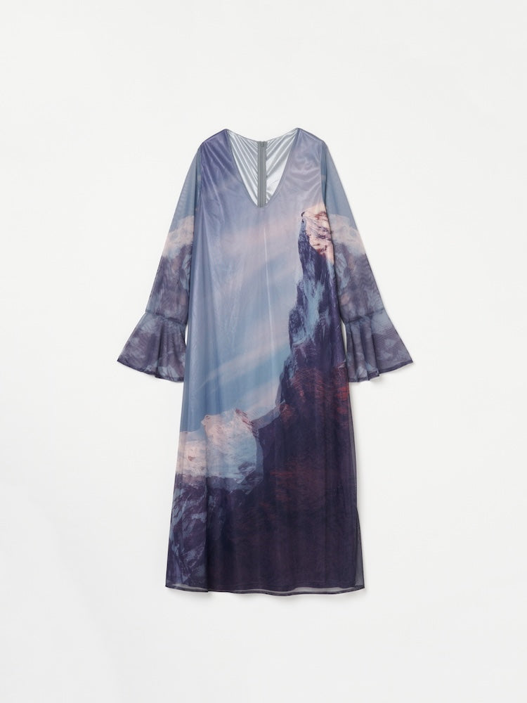 Nature Print Layered Dress｜ネイチャーモチーフ柄レイヤード