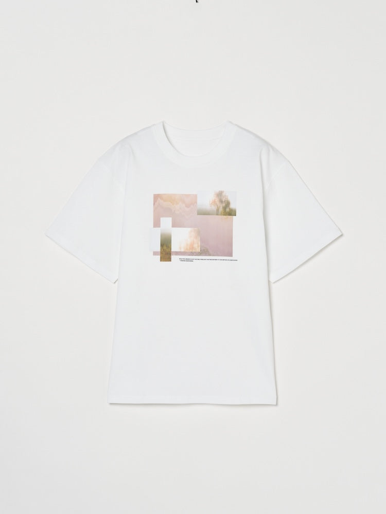 カラー：SandTree