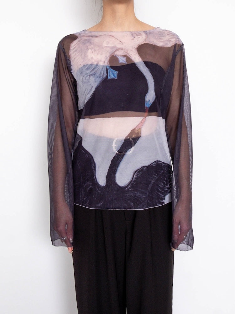 Sheer Top 