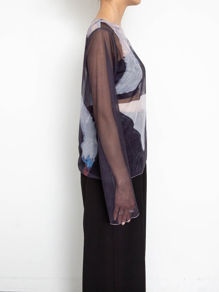 Sheer Top 