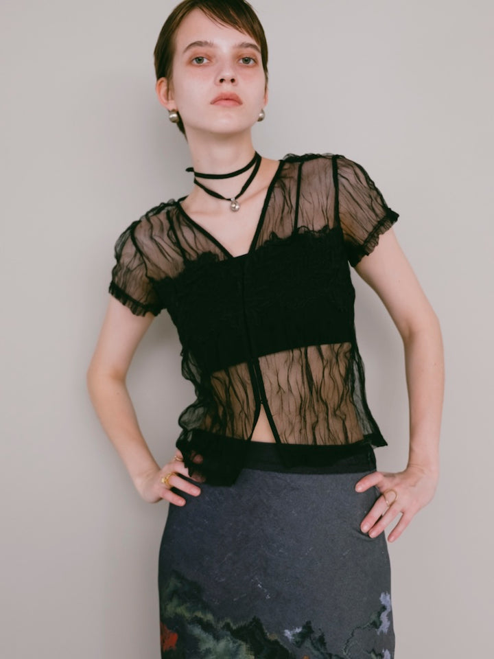 【7月25日(土) 12:00販売開始】Panel Lace Tulle Top