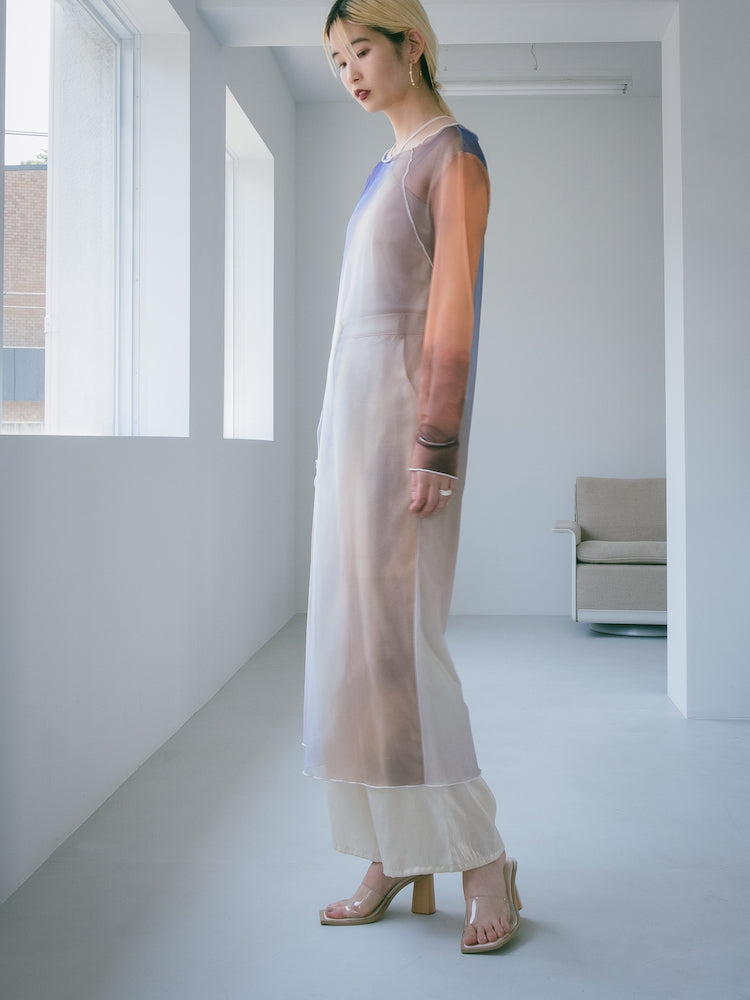 Sheer Dress 