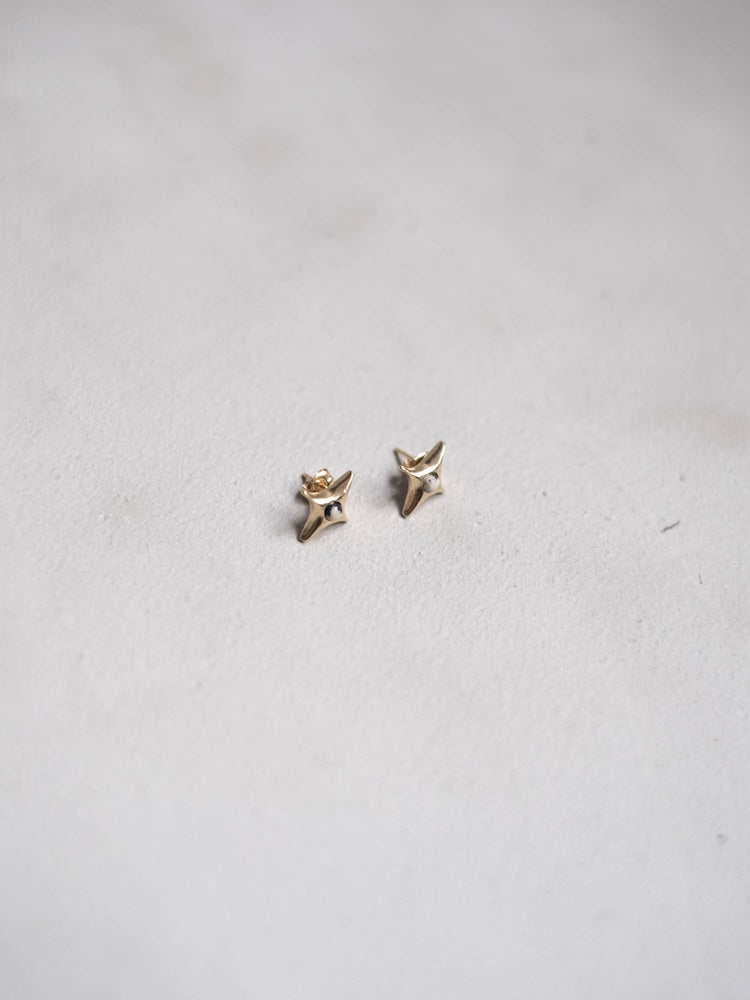 Spark Star Pierce｜天然石の星型ピアス – MARTE